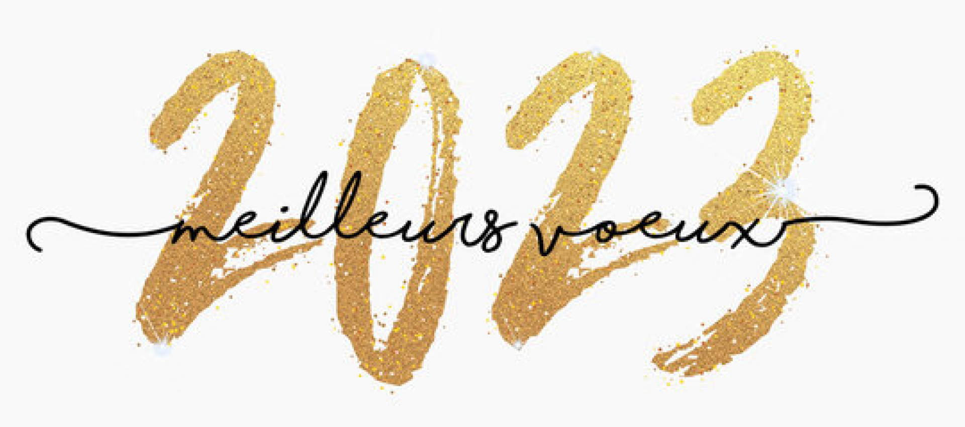 BONNE ANNEE 2023